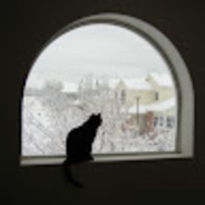 Meet your Posher, Dan